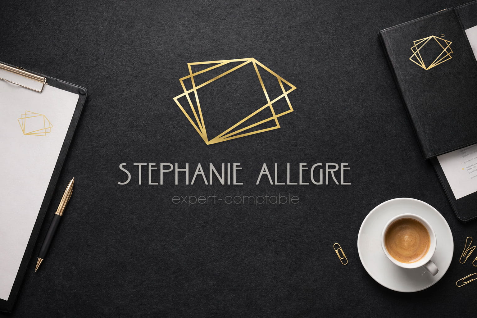  logo identité stephanieallegre